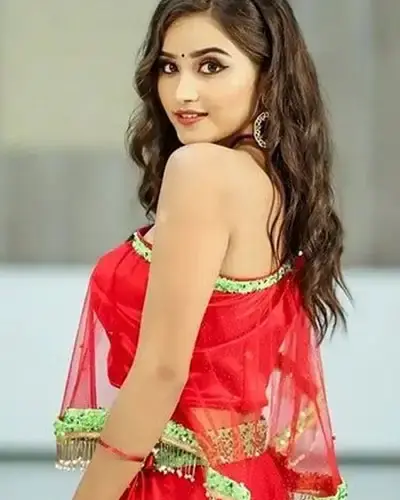 Escort In Shahganj